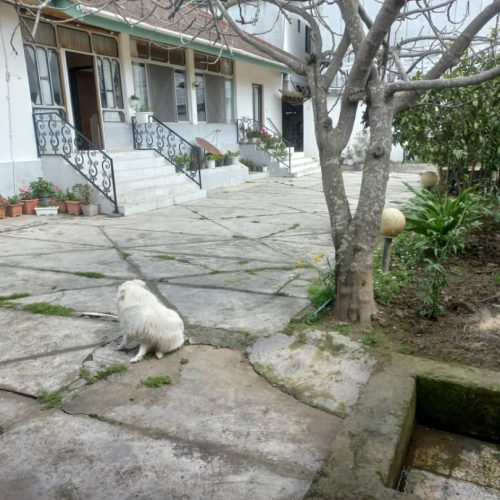 زمین و خانه کلنگی