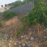 زمین 500 متری
