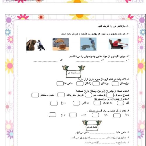 گلدان گل .باکس