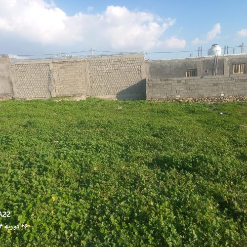 زمین 260متر روستای سرپری 3کلیومتری دهدشت