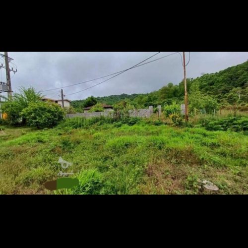 فروش فوری زمین شمال مسکونی گیلان کوهپایه موقعیت عالی قیمت استثنایی