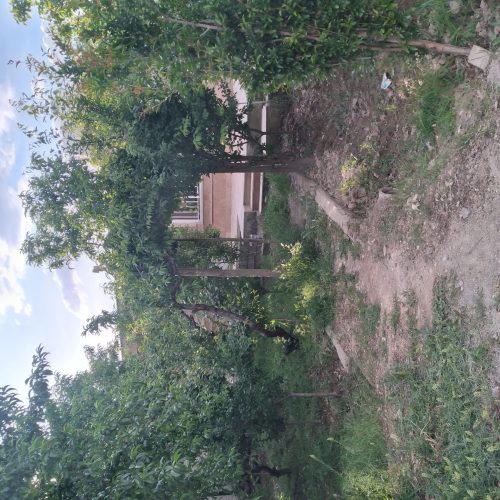 باغچه و باغچه ویلا