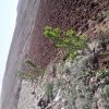 زمین ویلایی