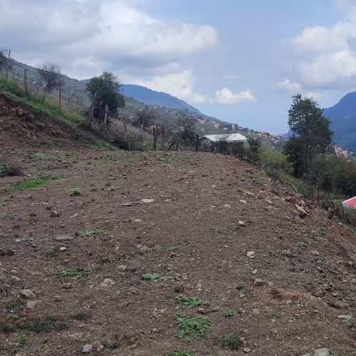 فروش زمین مسکونی