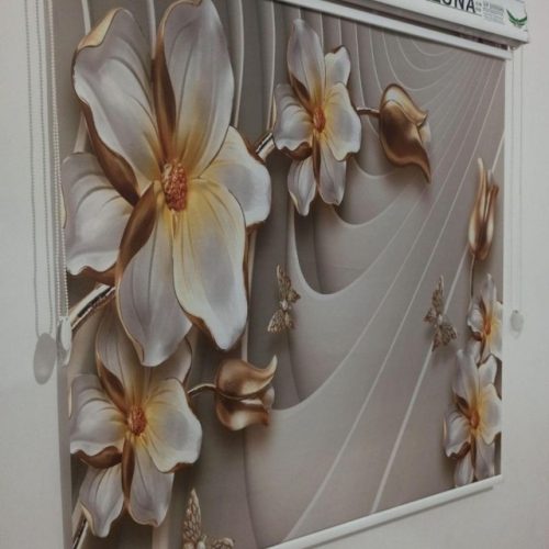 دنیای پرده زبرا در رشت