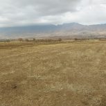 زمین کشاورزی حاصلخیز