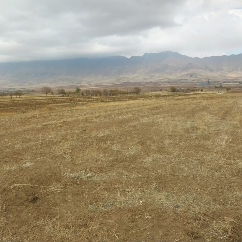 زمین کشاورزی حاصلخیز