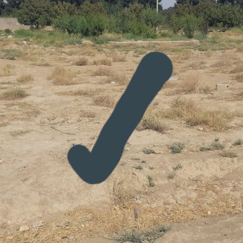زمین 300 متر علی آباد قاجار