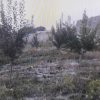 باغ ویلایی با چاه آب وبرق با انواع اقسام درختان میوه وخانه باغ کوچک