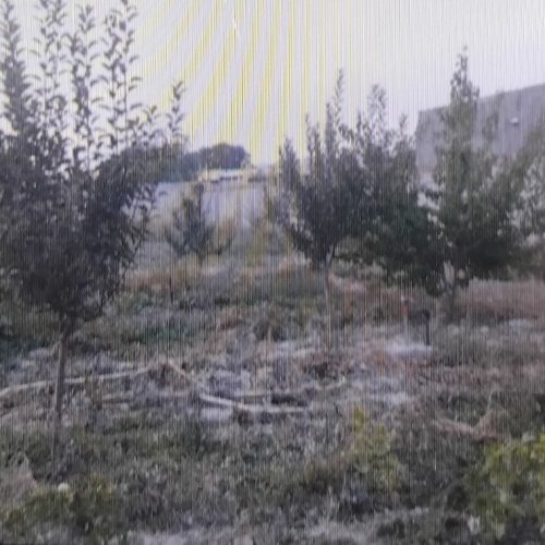 باغ ویلایی با چاه آب وبرق با انواع اقسام درختان میوه وخانه باغ کوچک