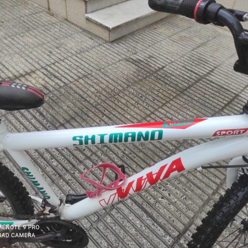 دوچرخه ویوا واقعا عالیه 1 ماه باهاش کار کردم