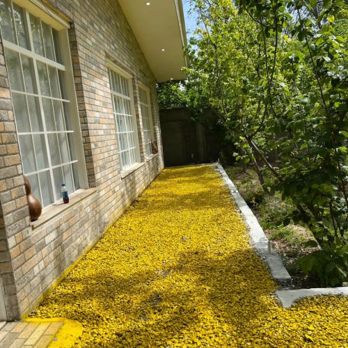 اجاره خانه های ویلایی و سوییت