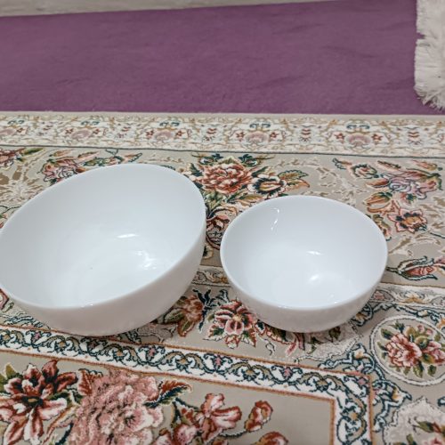 سرویس آرکوپال 24نفرە