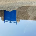 15000 هزار متر گلخانه