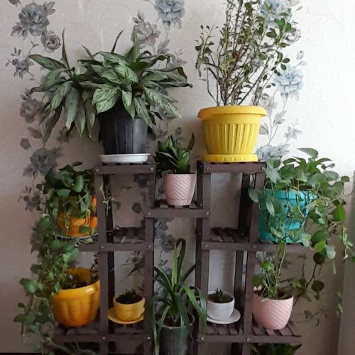 استند گل مستقیم از تولیدی