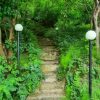 اجاره ویلای جنگلی