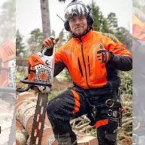 خرید انواع چوب  به قیمت مناسب خرید چوب خشک و خرید چوب در باغچه وبرش انواع چوب