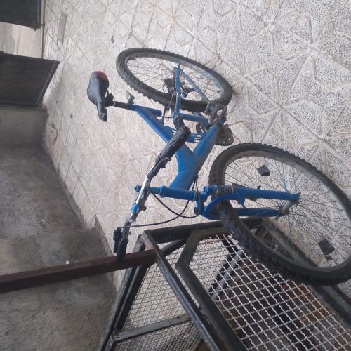 یک عدد دوچرخ دنده