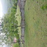 زمین 500 متری چالوس