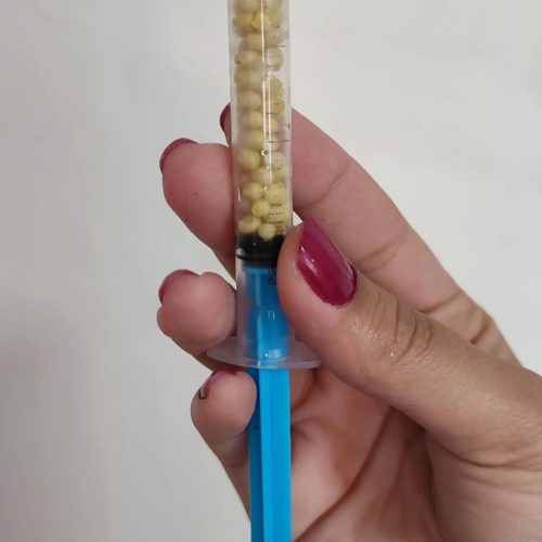 خاویار حلزون