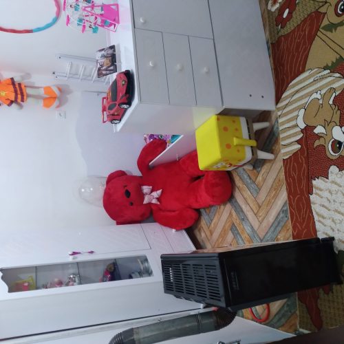 ی باب خانه حیاط دار با متراژ 202 وزیربنا 110 در روستای داش اتان