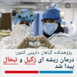 درمان زگیل و تبخال