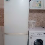 سالم در حدنو