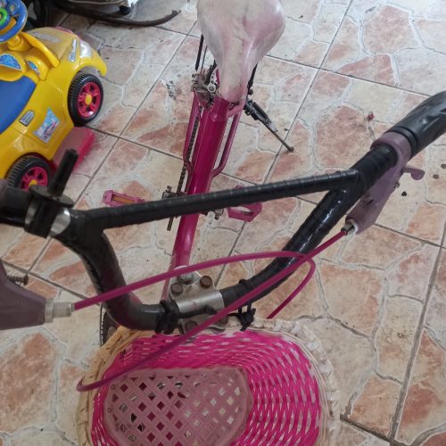 دوچرخه دخترانه