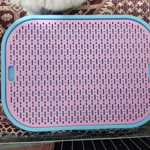 فروش سگ مالتیز نر