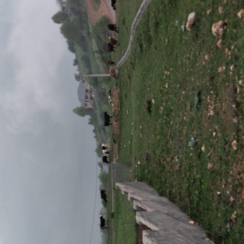 فروش فوری زمین در روستای زیبای لیند