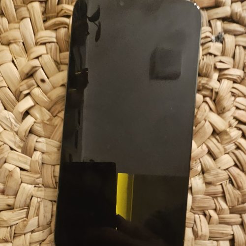 IPhone 13 Promax 256