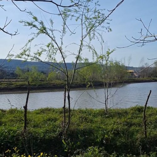 فروش 300 متر زمین مسکونی