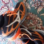 کفش ورزشی والیبال ،یه بار استفاده شده سایز:42 برای خرید بااین شماره تماس بگیرید:09152647923