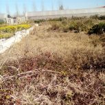 روستای سمسکنده 400 متر زمین