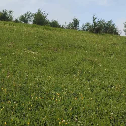 فروش زمین مسکونی