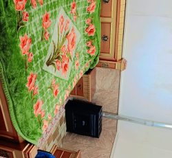 باغ ویلا وبوم گردی سنتی فانوس