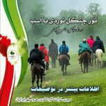 تور یکروزه جنگل نوردی با اسب در جنگهای هیرکانی تالش