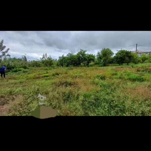 فروش فوری زمین شمال مسکونی گیلان کوهپایه موقعیت عالی قیمت استثنایی