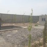 باغ با استخر