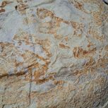 فروش نان محلی تازه