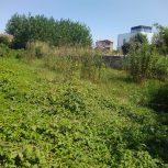 زمین مسکونی با سند تک برگ