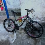 دوچرخه 24 راپیدو