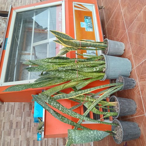 یخچال بسیار تمیز