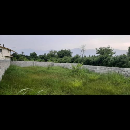 301 متر،سند،داخل بافت