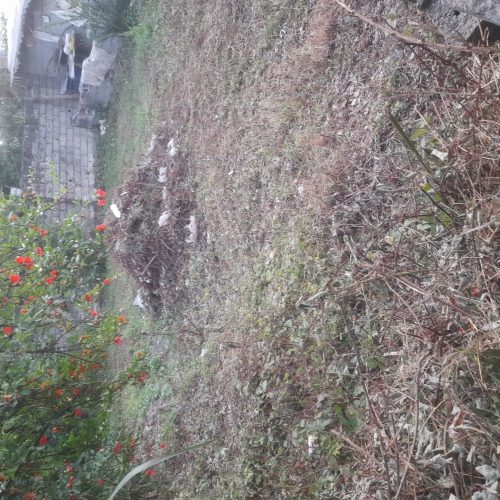 زمینی با مساحت 142  به فروش میرسد