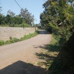 اجاره ویلا با هما امکانات کامل