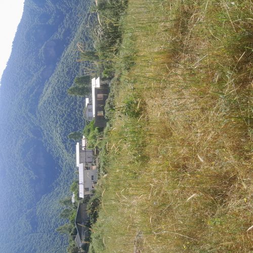 زمینی به متراژ 500 متر واقع در روستای تاریخی مریان به فروش میرسد