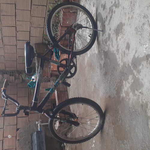 دوتا دوچرخه