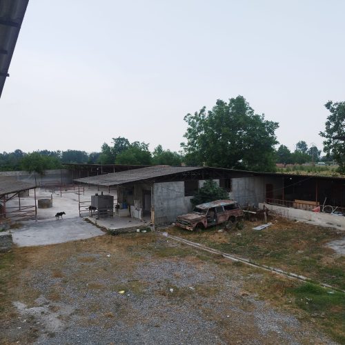 فروش دامداری با تجهیزات کامل