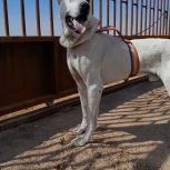 با سلام قصد فروش ندارم فقط معاوضه